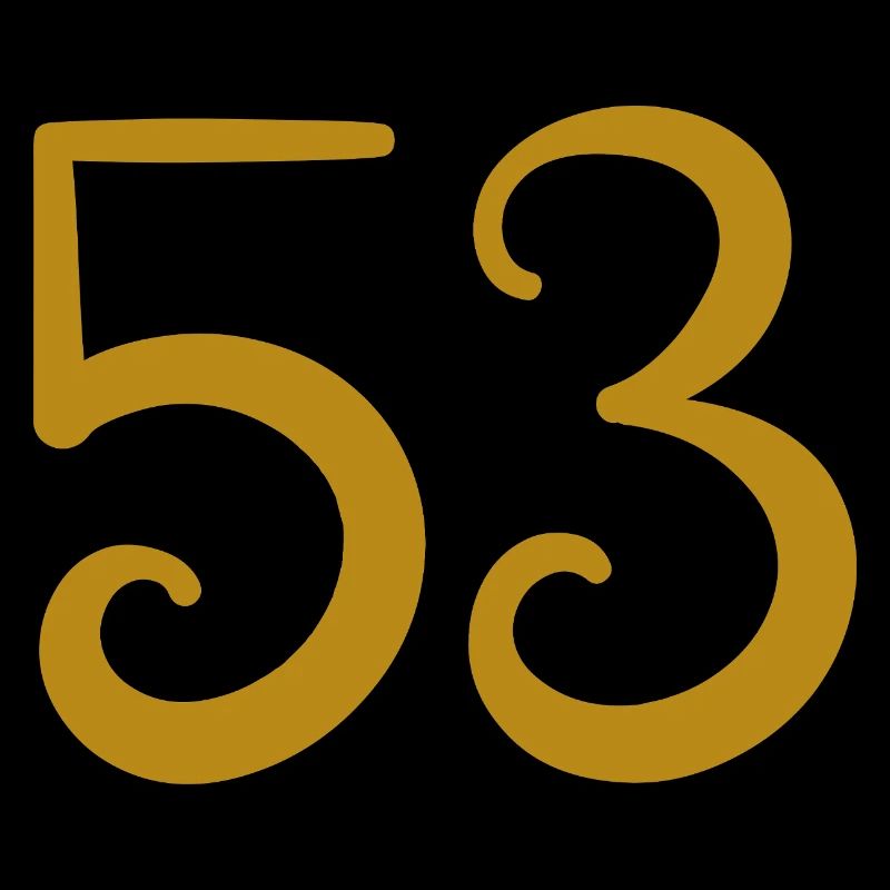53