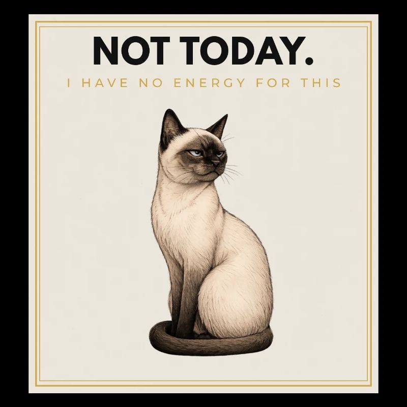 NOT TODAY Sarcastic Cat Design