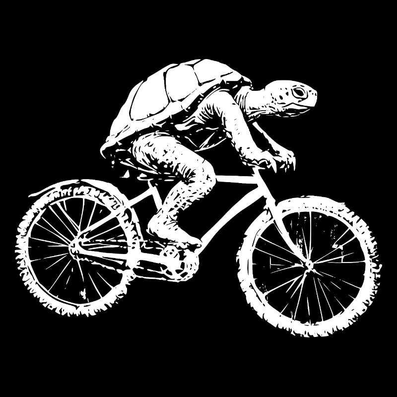Bicycle Turtle