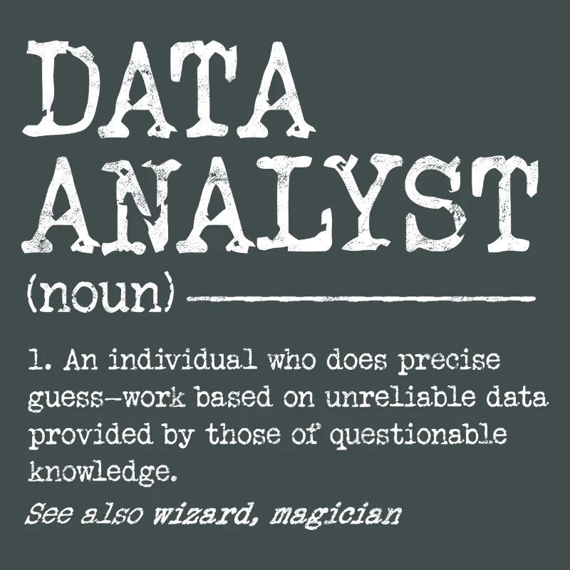 Data Analyst Meme Tee