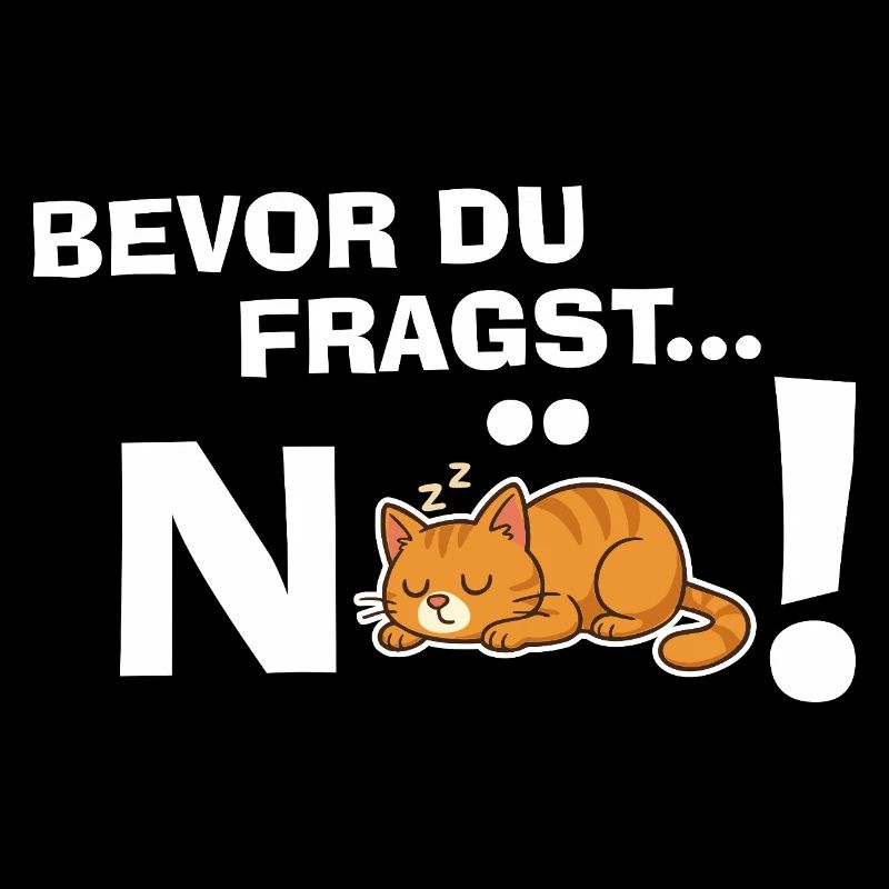 Avant que tu ne demandes... NON! Cadeau drôle de chat