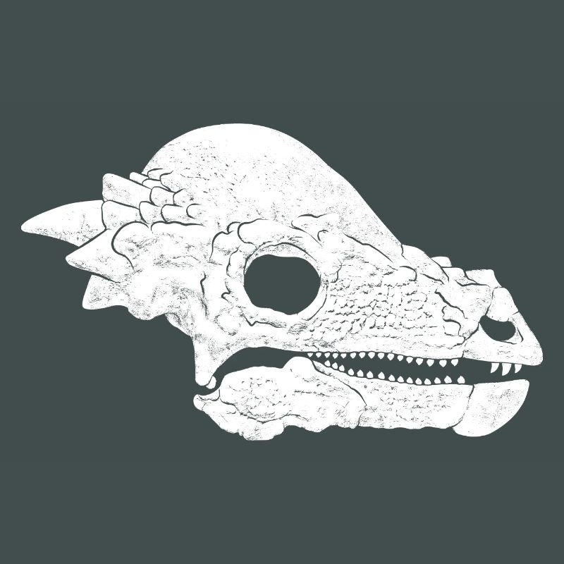 Pachycephalosaurus Fossil Skull