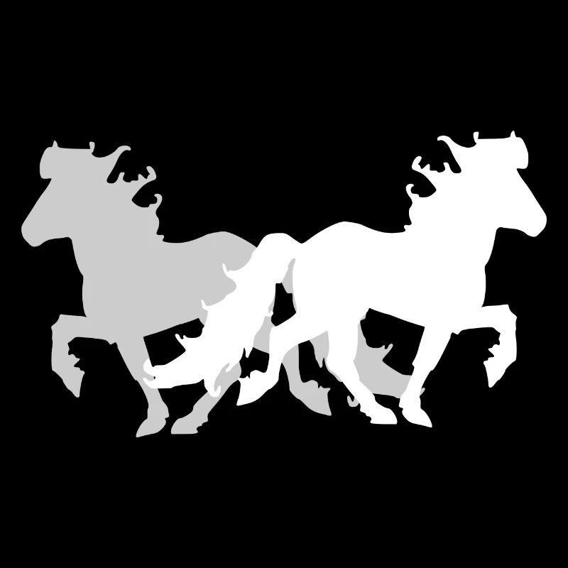 2 Islandpferde elegant Tölt Damen Mädchen Kinder