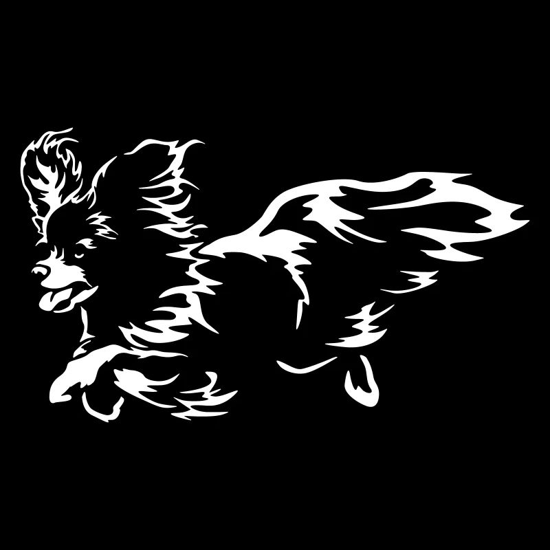 Papillon "Black Edition"