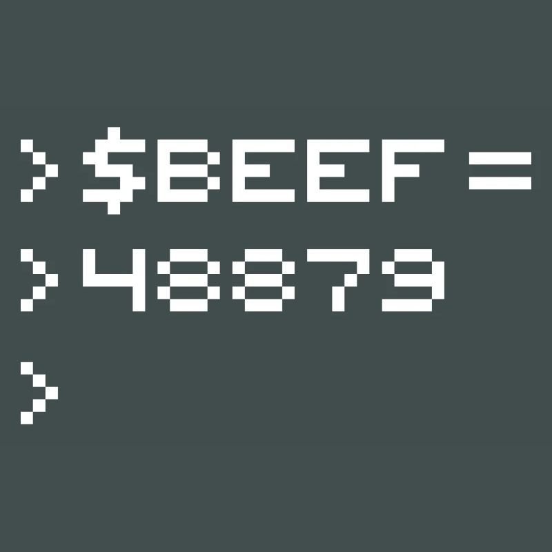 BEEF 8-bit Code Nerd Pixel Terminal Rétro