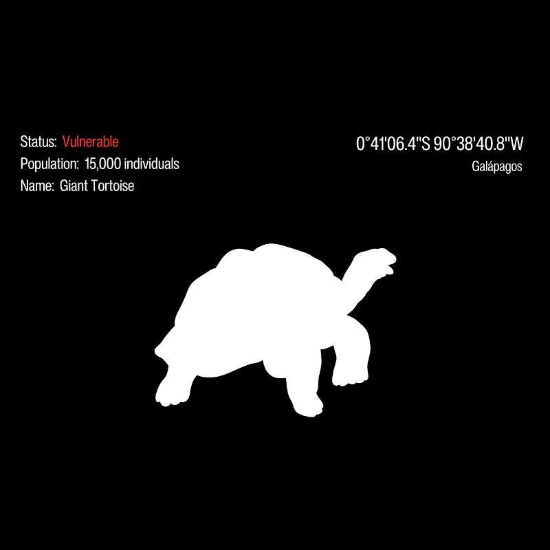Giant Tortoise