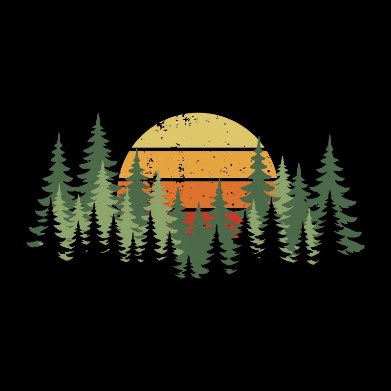 Forest Sunset Nature Trees Hiking Camping