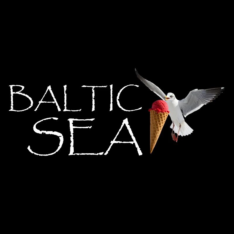 Baltic Sea Ostsee lustige Möwe maritim