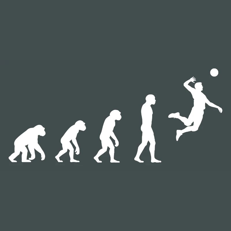 Evolution volleyball 