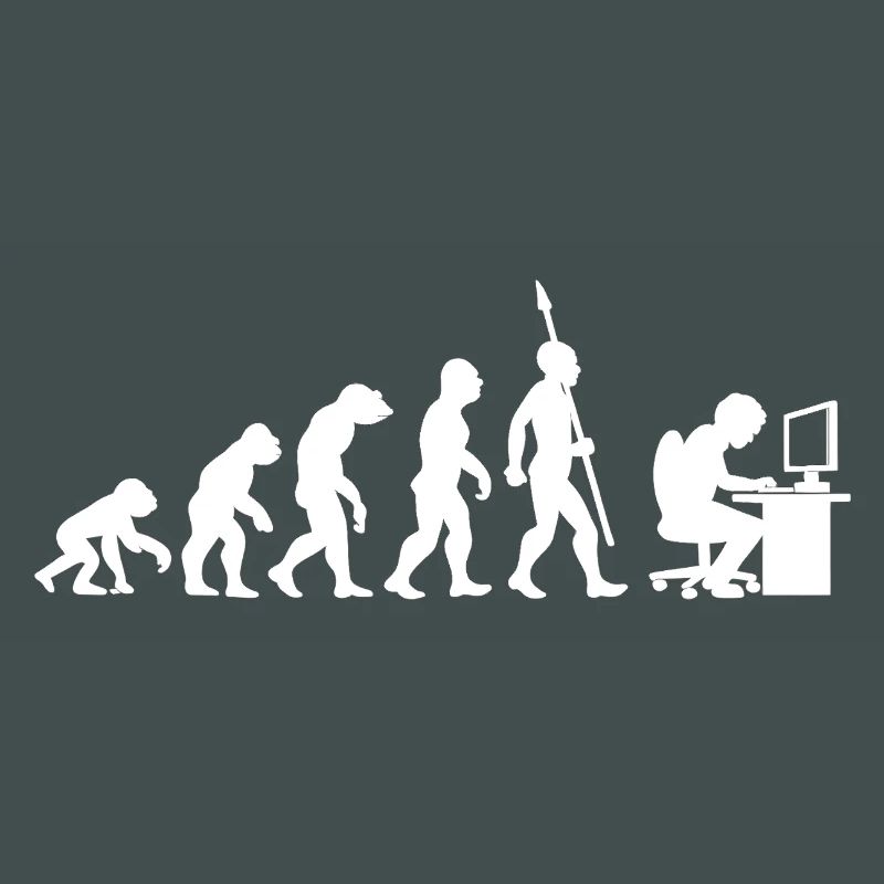 Informatique PC Evolution Programmeur Informatien