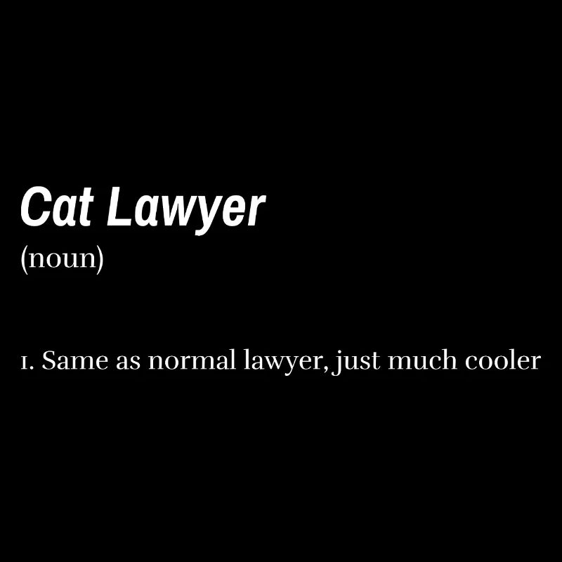 Avocat chat, comme un avocat normal, mais bien plus cool