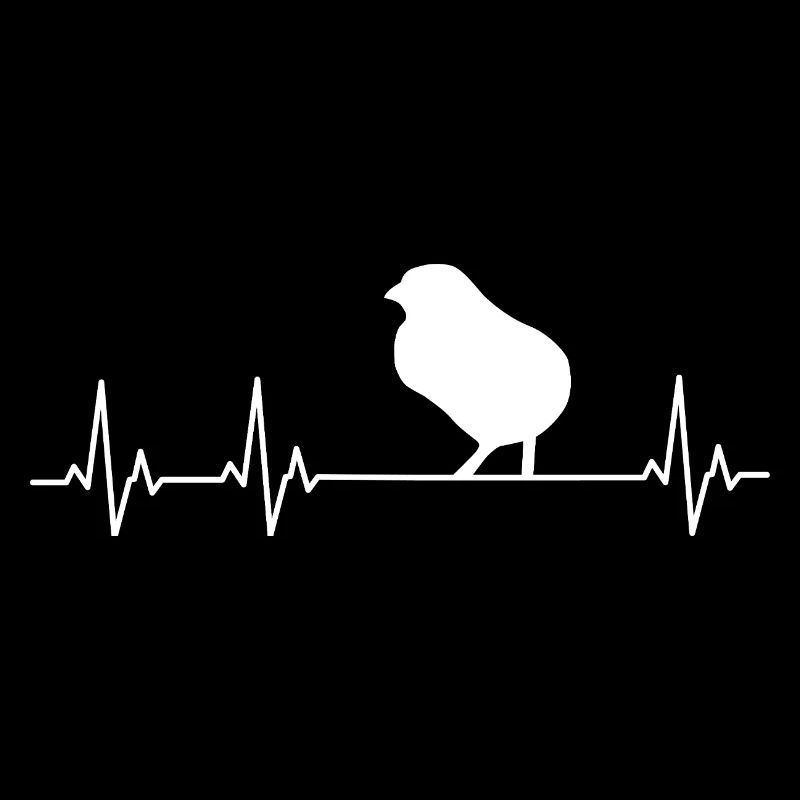 Chickens Fans - - Rooster - Chicks