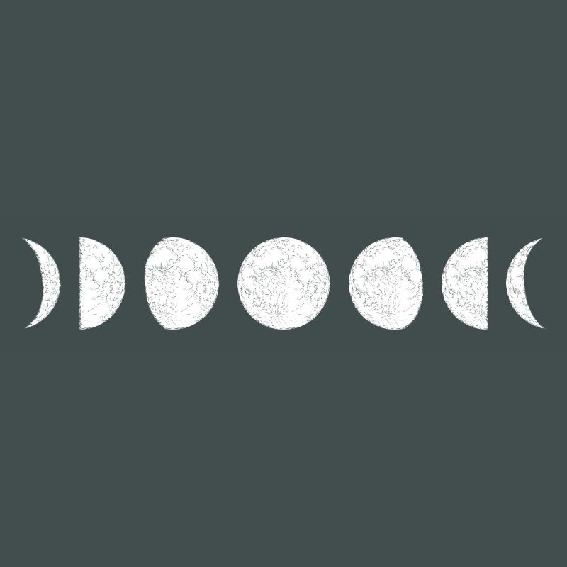 Moon Phase Circle Sequence