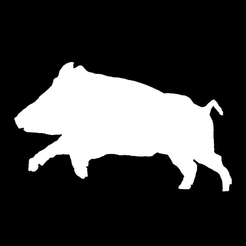 Customizable Boar T-shirt
