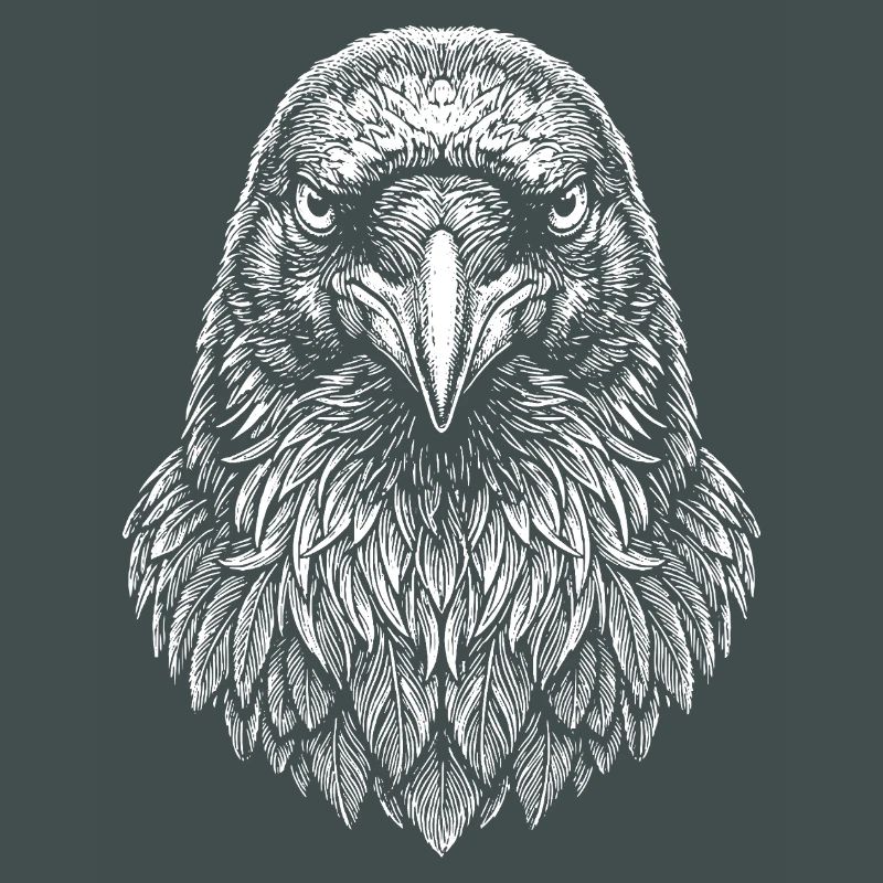 Aviator Eagle Head Line Art