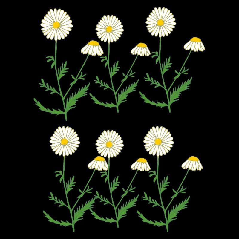 camomile