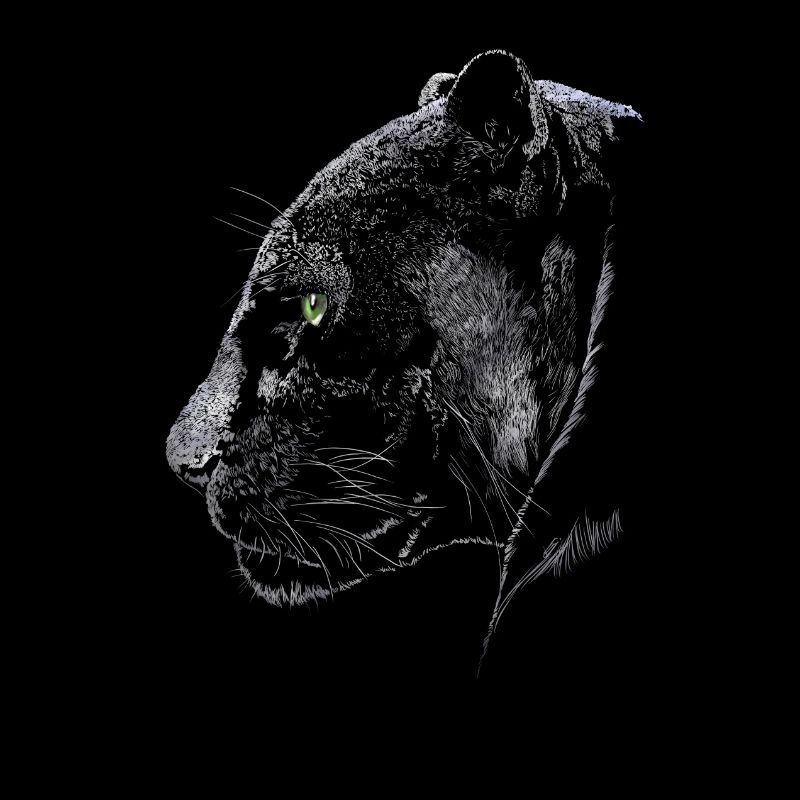 Panther