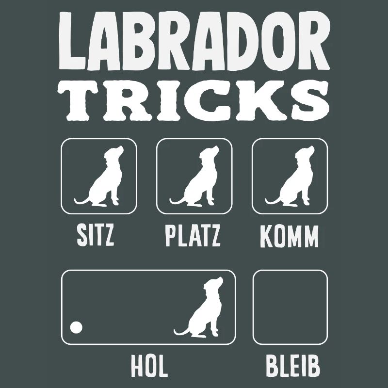 Labrador Tricks