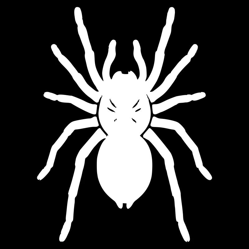 Tarantula Tarantula Realistic Vector