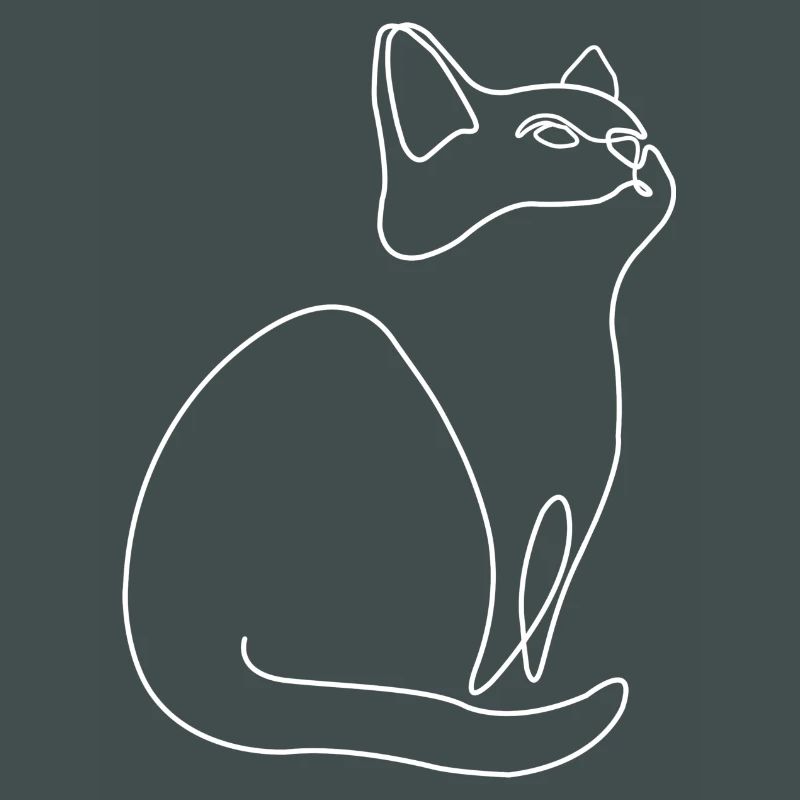 Chaton Chat Chat
