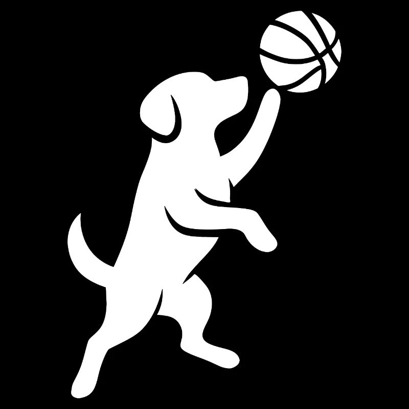 Jeté de basketteur à la silhouette minimaliste
