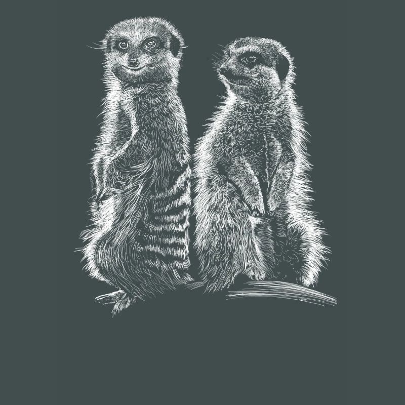 Erdmännchen