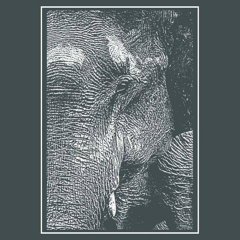 White elephant