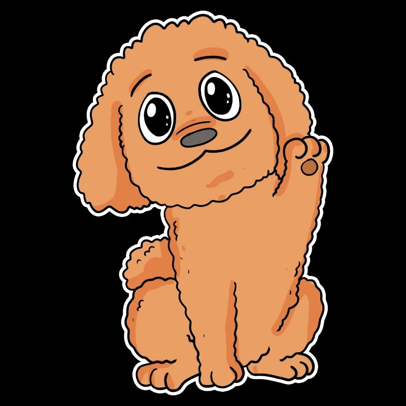 Pudel Hunderasse Hund Hunde