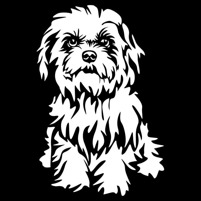 Havanese "Black Edition"