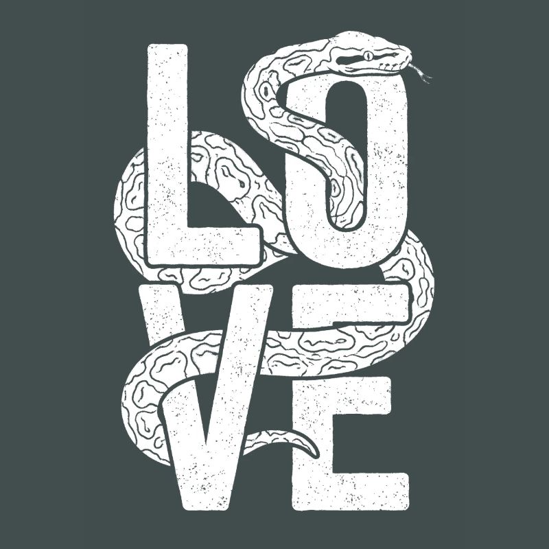 King Python Snakes LOVE Terrarium Python