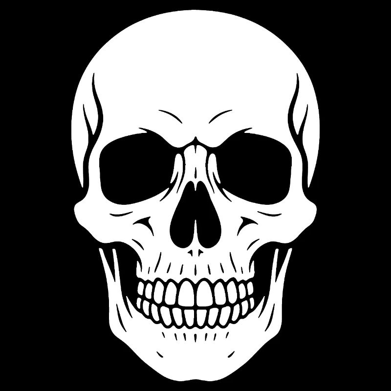 Skull Silhouette Graphic