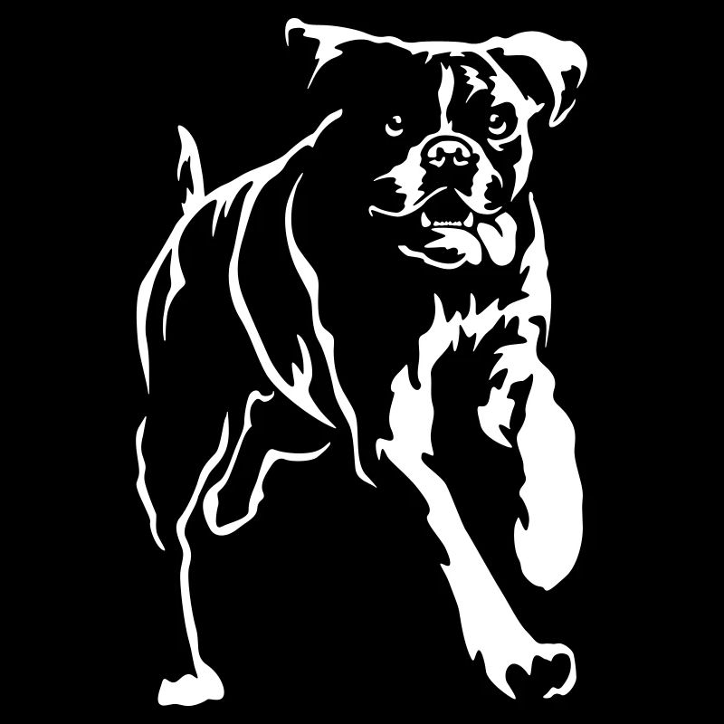 Boxer "Black Edition"