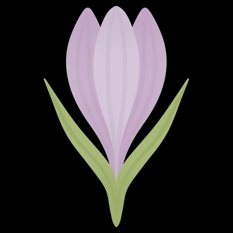 Lilac Crocus Bloom Illustration
