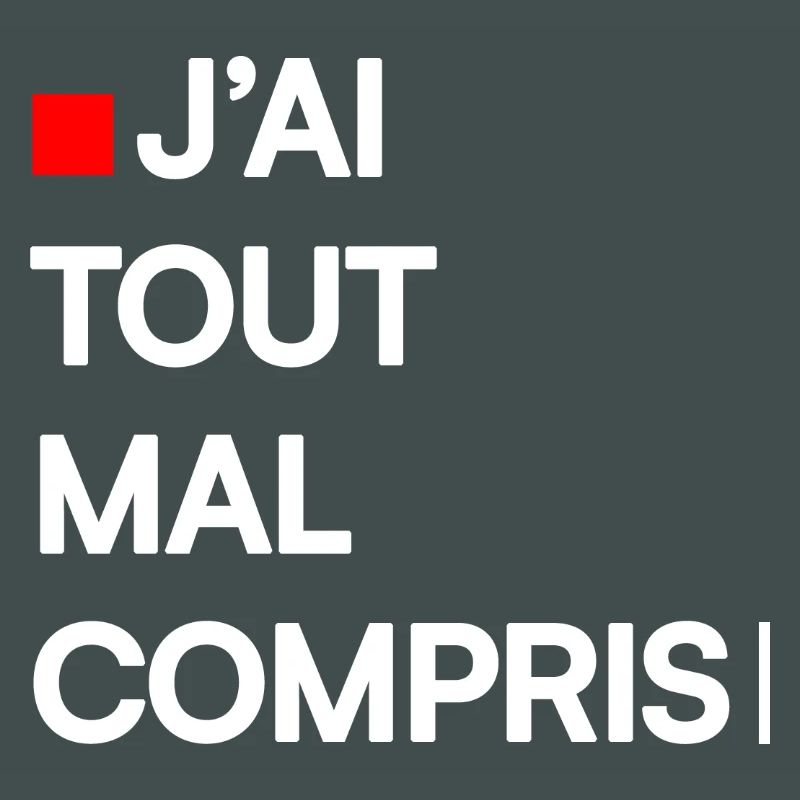 J’AI TOUT MAL COMPRIS | Humour autodérision