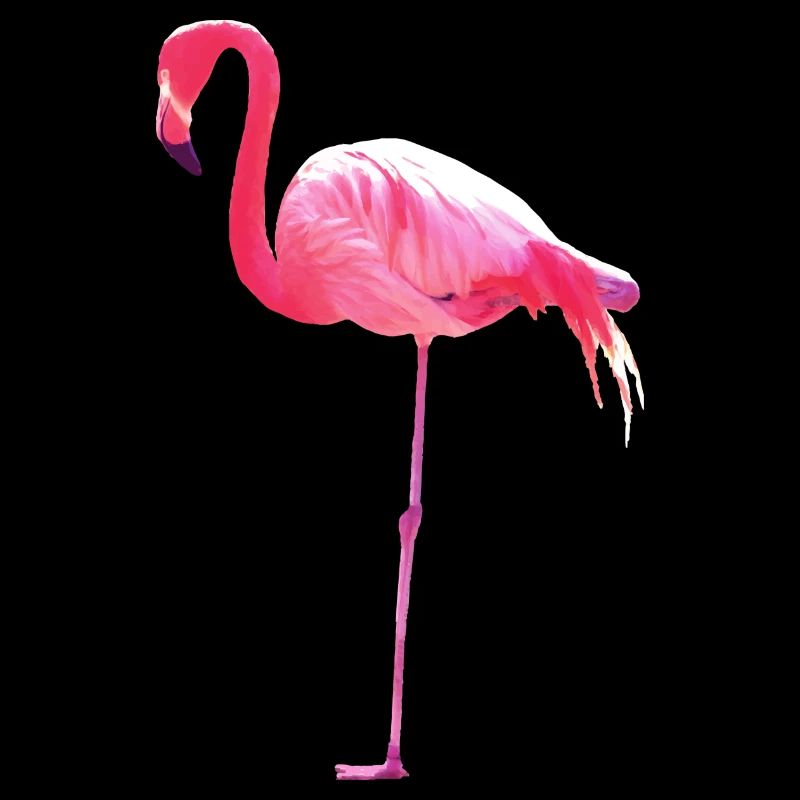Flamant rose