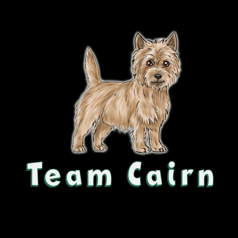 Team Cairn