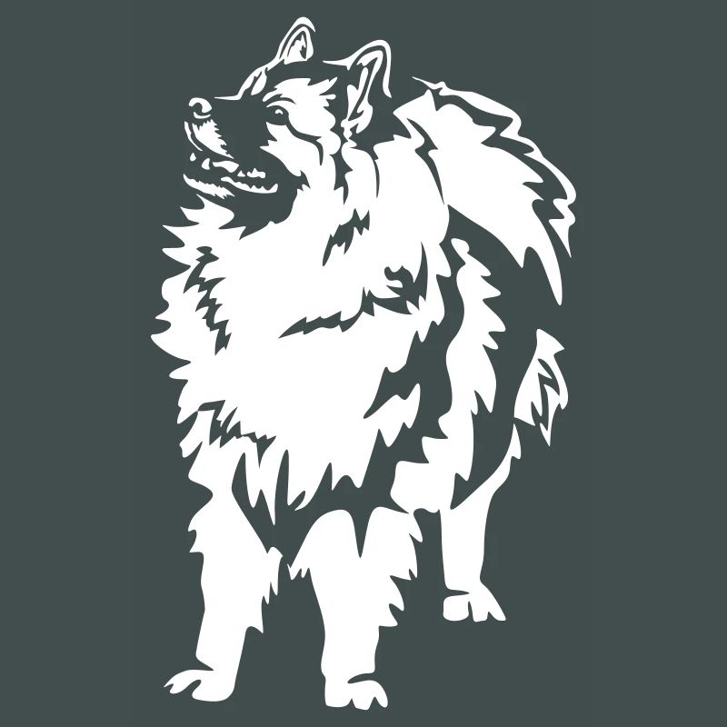 Wolfsspitz "Black Edition"