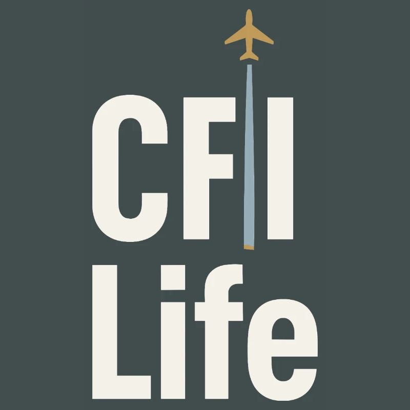 Flight Instructor Cfi Pilot Aviation Instructor
