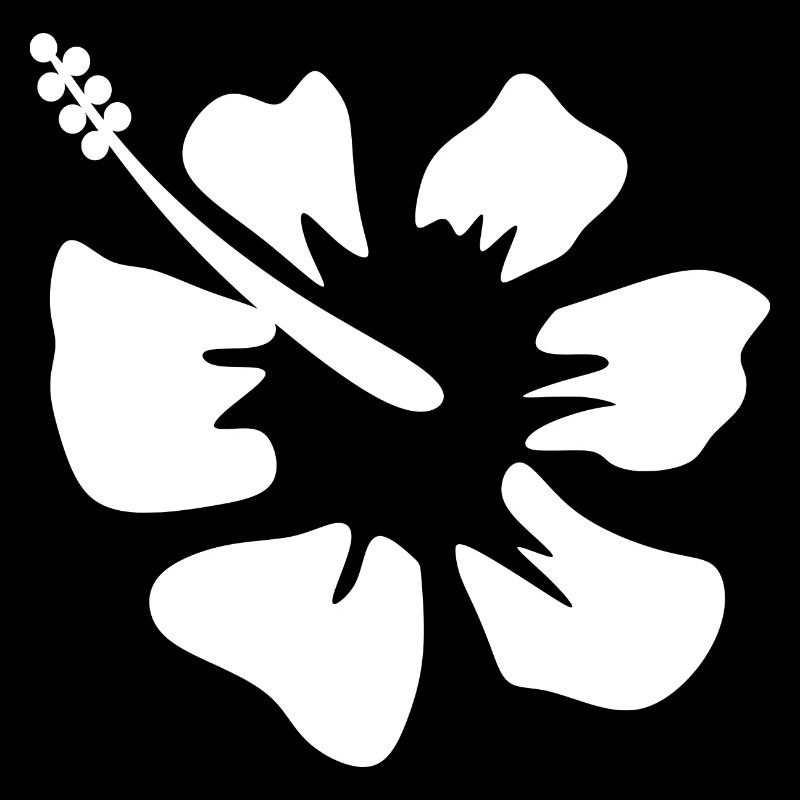 Fleur Blanche Fleur Blanche Fleurs Hibiscus Blanc