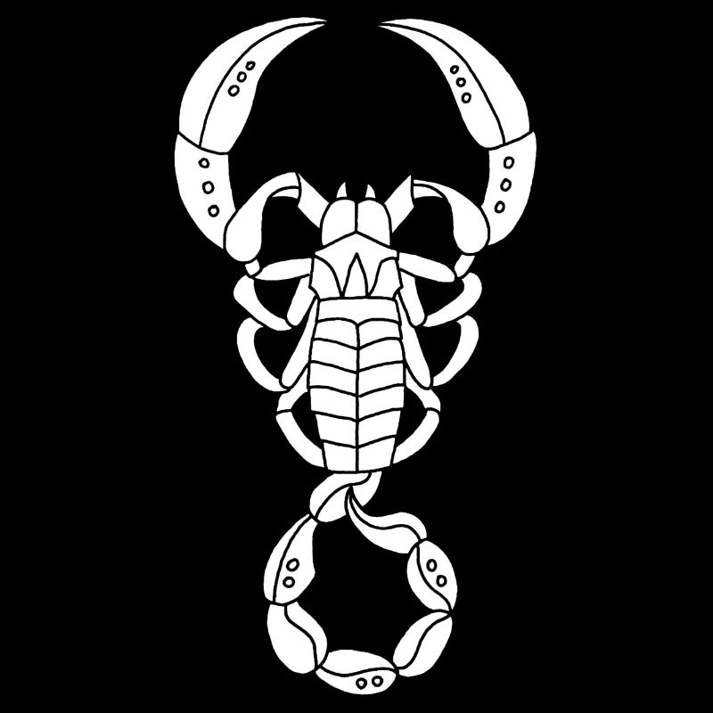 Scorpion blanc