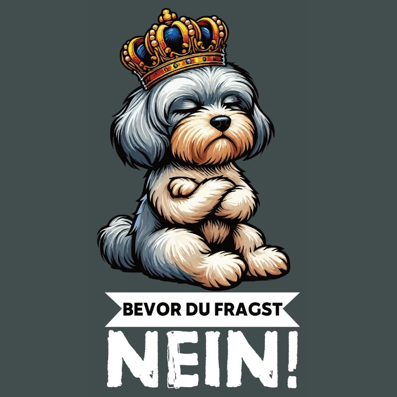 Before you ask No Havanese Havanese owners