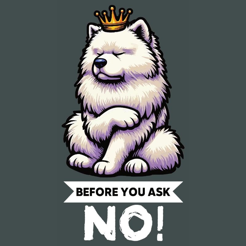 Before You Ask Samoyed Samoyed Owner