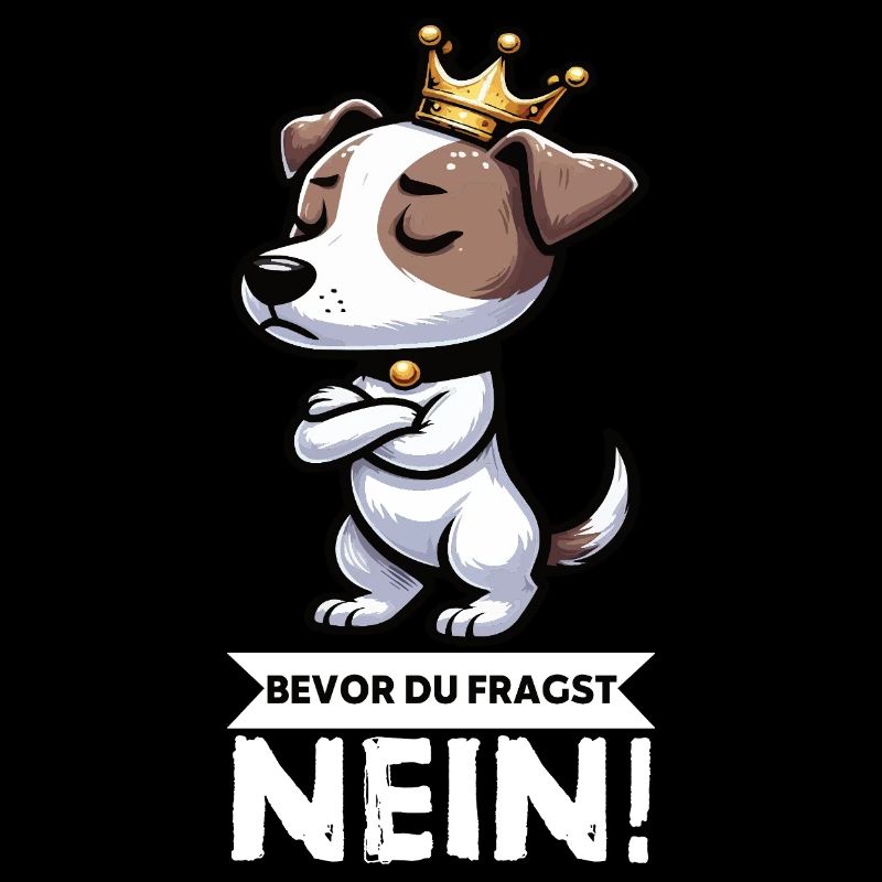 Bevor du Fragst Jack Russel terrier Jackie Terrier
