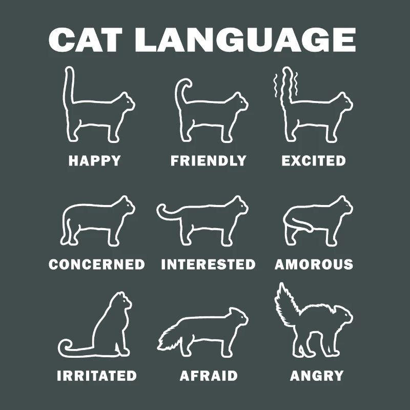 Sprache der Katzen