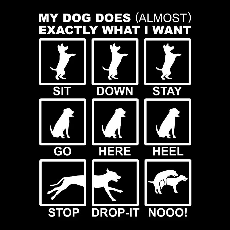 Entrainement de chien