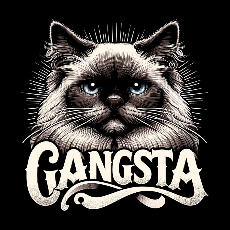 Chat Birman Sacré Chat Birman Gangsta Cadeau