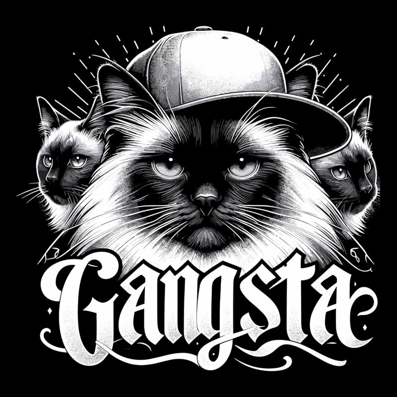 Chat Sacré de Birmanie Chat de Birmanie Trio Gangsta Gesche