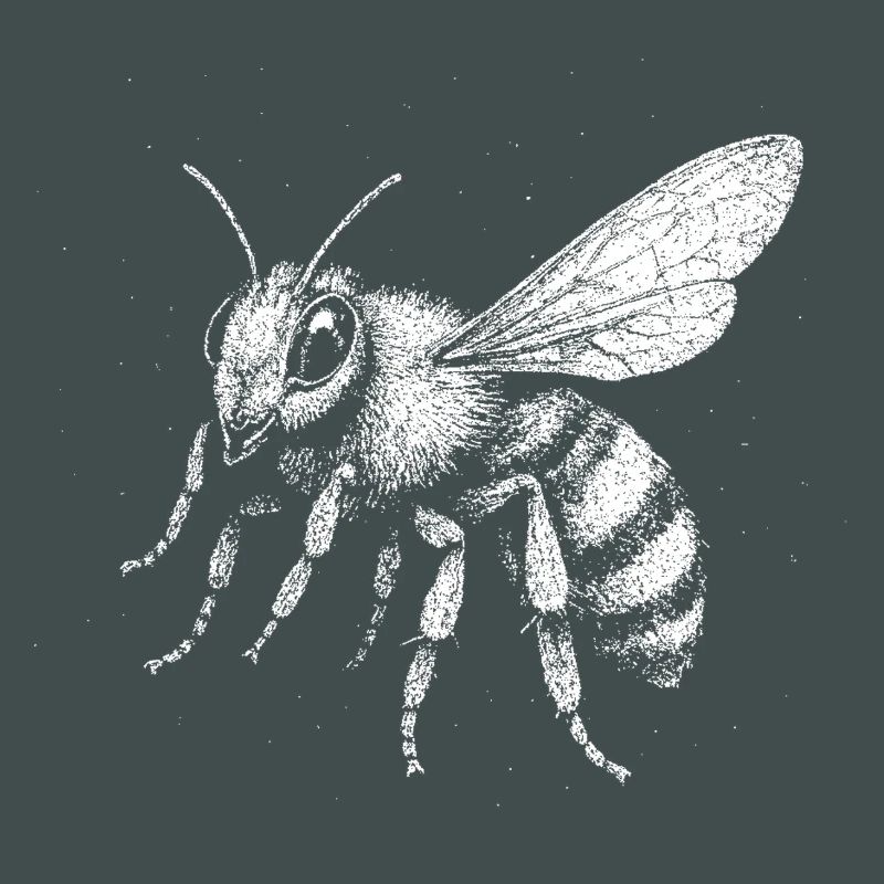 A bee