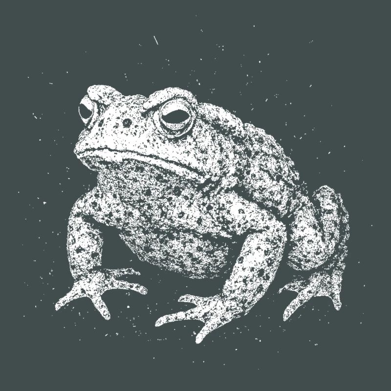 Kröte