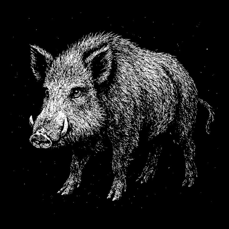 Wildschwein